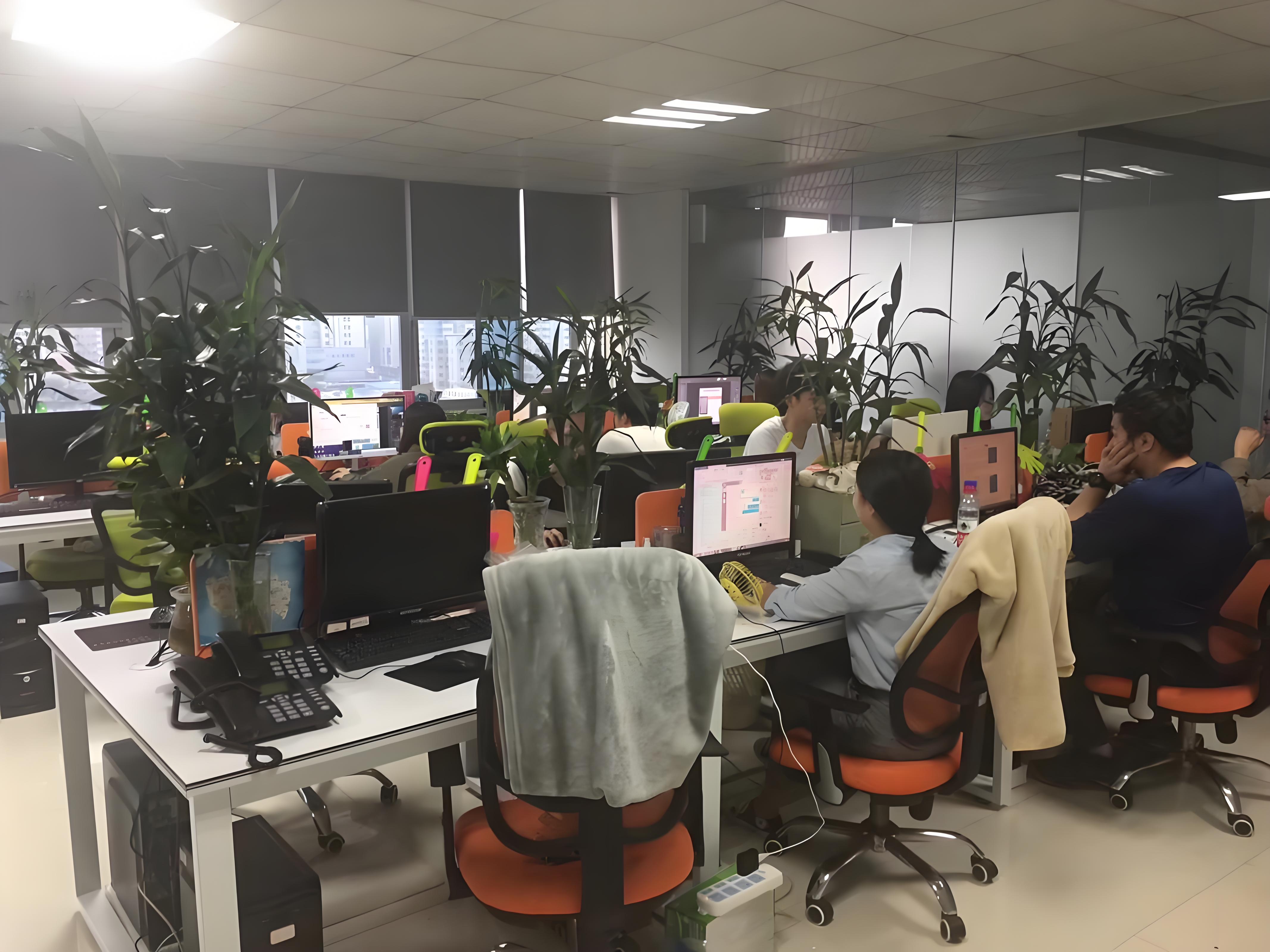 XINXIN